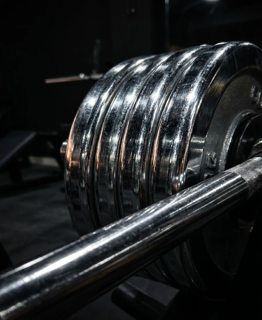 Maquinaria profesional de musculación - Titanium Experience Gym